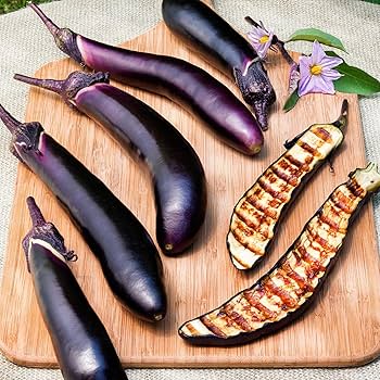 eggplantページ 814wcC9j19L._UF894,1000_QL80_.jpg